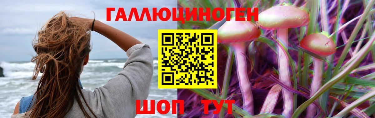 Северобайкальск  Псилоцибиновые грибы мицелий  Вход с VPN 